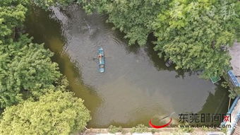 東莞深入推進水污染治理攻堅戰(zhàn)，碧水清流重現(xiàn)莞邑