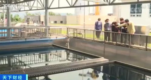 韓城市水污染危機(jī) 幼蟲事件引發(fā)凈水恐慌與治理反思